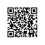 1004P3T1B1M1QEH QRCode