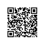 10055295-10310T QRCode