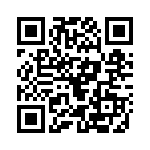 101-0999 QRCode