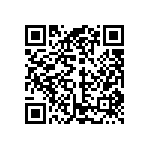 10104999-P0E-30B QRCode