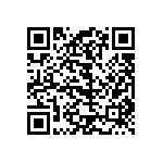 101302T250BC2A QRCode