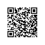 101C113T250DF2B QRCode