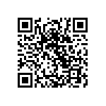 101C133T200DE2B QRCode