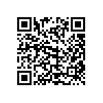 101C153U100EE2B QRCode