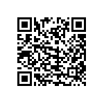 101C291T250AK2B QRCode