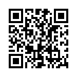 101TL1-1 QRCode