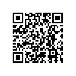 102S42E1R9BV4E QRCode