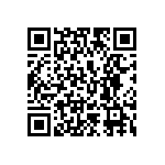 102S42E7R5BV4E QRCode