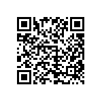 1111J1K01P80DQT QRCode