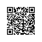 1111J1K04P30BQT QRCode