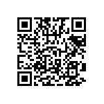 1111J5000560JQT QRCode