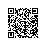 1111Y1002P70DQT QRCode