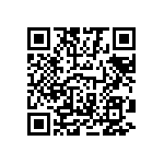 1111Y1K00110GQT QRCode