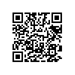 1111Y1K00160FQT QRCode