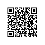 1111Y1K01P70HQT QRCode