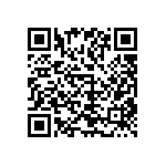 1111Y1K03P60DQT QRCode