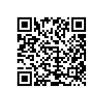 1111Y1K04P30BQT QRCode