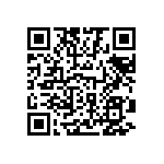 1111Y1K06P20HQT QRCode