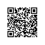 1111Y1K06P80HQT QRCode