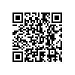 1111Y1K0P300DQT QRCode