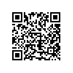 1111Y1K0P500BQT QRCode