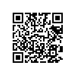 1111Y1K0P900BQT QRCode