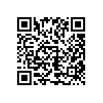 1111Y1K0P900DQT QRCode