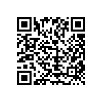 1111Y2500161FQT QRCode