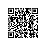 1111Y2500560KQT QRCode