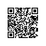 1111Y2502P20BQT QRCode