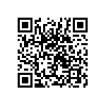 1111Y2502P70DQT QRCode