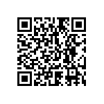 1111Y250P300BQT QRCode