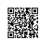 1111Y250P300DQT QRCode