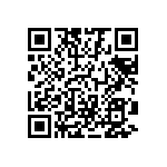 1111Y250P900DQT QRCode