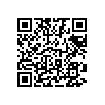 1111Y2K01P00BQT QRCode