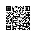 1111Y2K01P00DQT QRCode