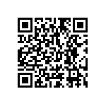 1111Y2K01P10HQT QRCode