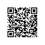 1111Y3000131GQT QRCode