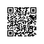 1111Y3001P40DQT QRCode