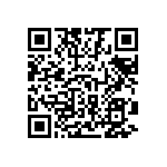 1111Y3002P20DQT QRCode