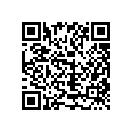 1111Y300P300BQT QRCode