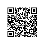 1111Y300P800DQT QRCode