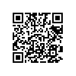 1111Y300P900BQT QRCode