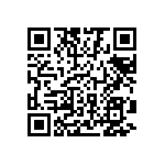 1111Y6306P20DQT QRCode