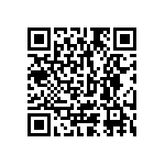 1111Y6308P20DQT QRCode