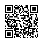 12-P10-30 QRCode