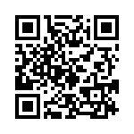 120110-0113 QRCode