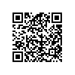 12065C102KAT4A QRCode