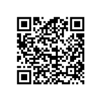 12065C333KAT2M QRCode