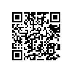 1206Y0250332KDR QRCode